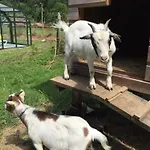 Апарт-отель Gite Roche Des Ducs Piscine Toute L'Annee, Spa Sauna Hammam Acces Illimite