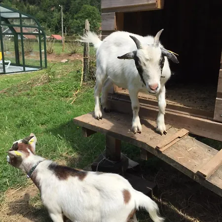 Apartahotel Roche Des Ducs Avec Piscine Toute L'année, Spa, Sauna, Hammam