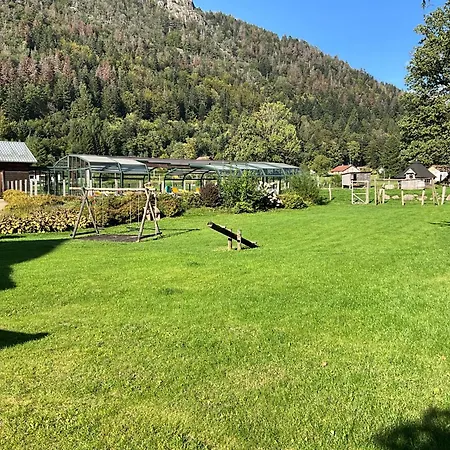 Roche Des Ducs Avec Piscine Toute L'annee, Spa, Sauna, Hammam Aparthotel