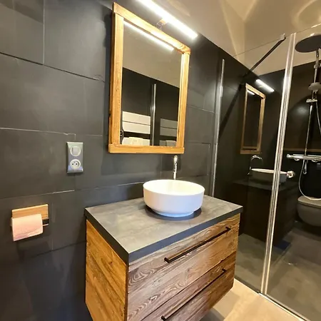 Roche Des Ducs Avec Piscine Toute L'année, Spa, Sauna, Hammam 4* Rochesson