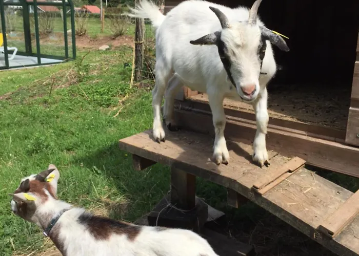 Aparthotel Roche Des Ducs Avec Piscine Toute L'annee, Spa, Sauna, Hammam